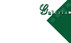 Galria