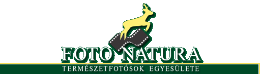 FOTO NATURA - TERMÉSZETFOTÓSOK EGYESÜLETE