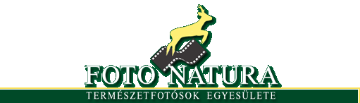 FOTO NATURA - TERMSZETFOTSOK EGYESLETE