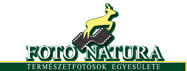 FOTO NATURA - TERMSZETFOTSOK EGYESLETE