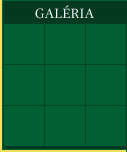 GALRIA