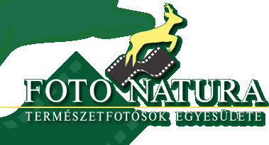 FOTO NATURA - TERMSZETFOTSOK EGYESLETE